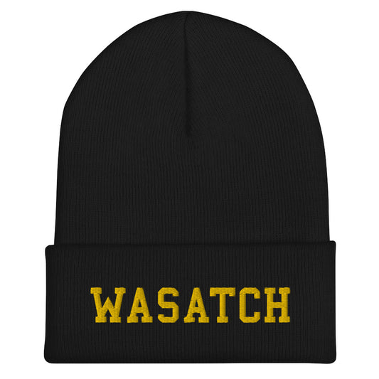 Wasatch Cuffed Beanie