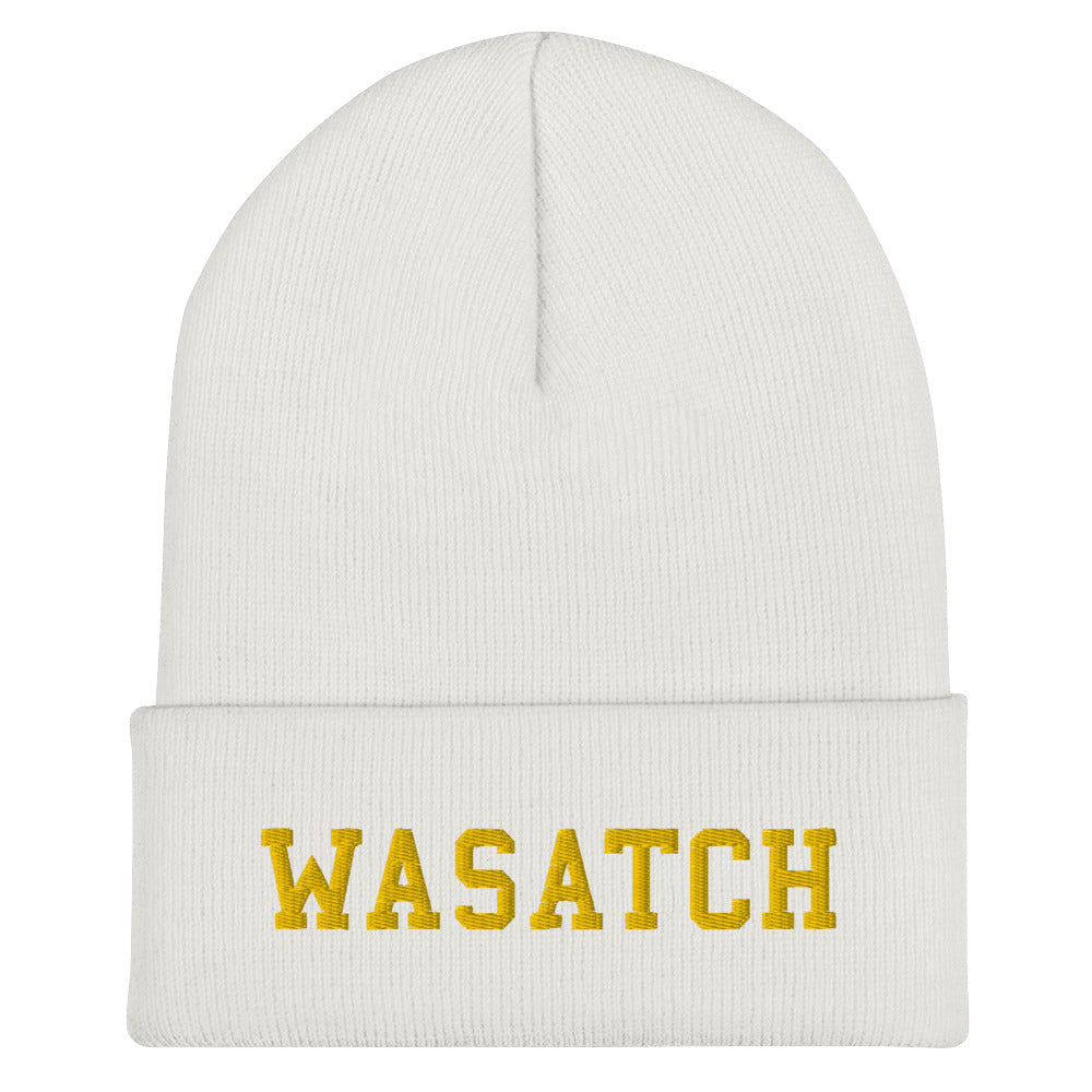 Wasatch Cuffed Beanie